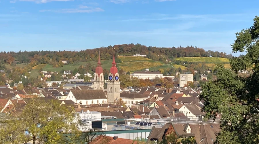 Interkulturelle Kommunikation in der Arbeitsintegration (Winterthur)